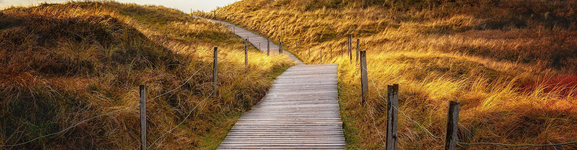 path-gb36301216_1920